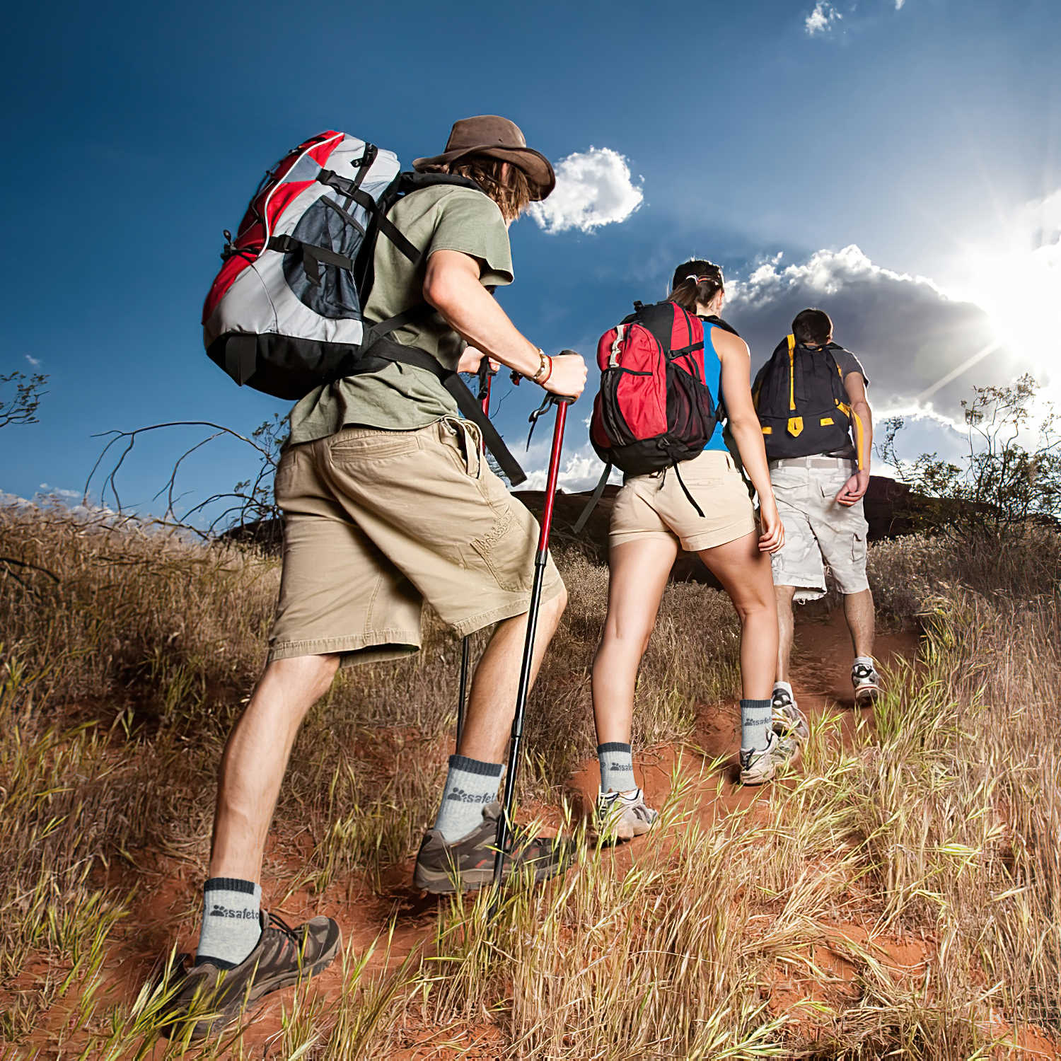 Antibakterielle Arbeitssocken aus 100 % Baumwolle von Safetoe – 7 Paar